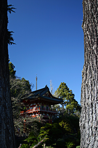 Japanese Tea Garden