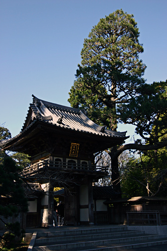 Japanese Tea Garden