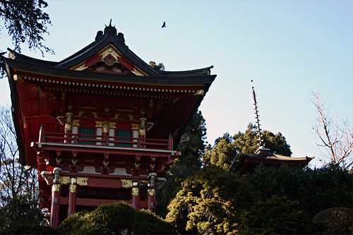 Japanese Tea Garden