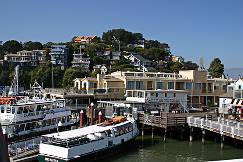 Tiburon Haven