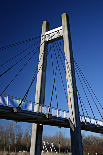 Almeerderhout