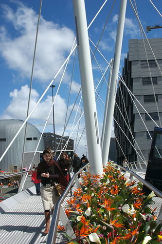 Bloemen op de brug