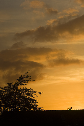 Lichtpuntje van een grijze dag