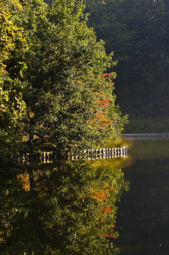 Het wordt herfst