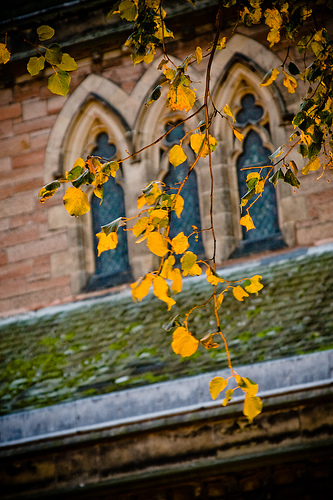 It really is autumn