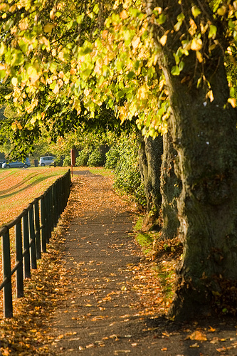 Autumn colours