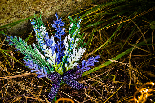 Flowers at the Clan Donald grave