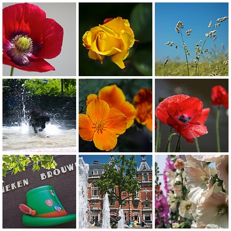 Foto's van juni 2006