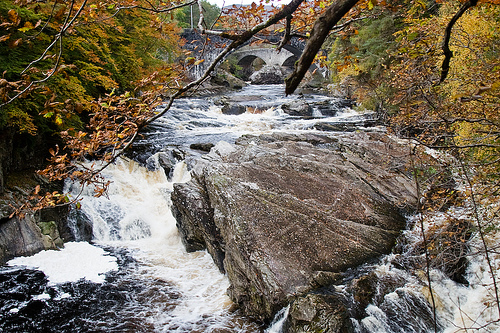 Autumn Autumn