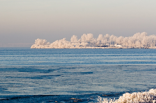 Gooimeer