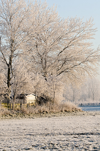 Wintershed