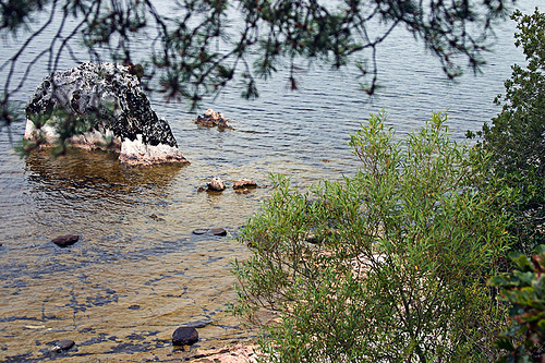 Lough Leane 2