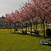Museumplein