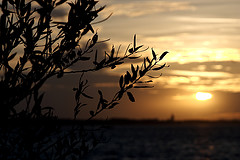 Gooimeer zonsondergang Gooimeer zonsondergang