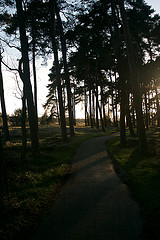 De dag loopt ten einde De dag loopt ten einde
