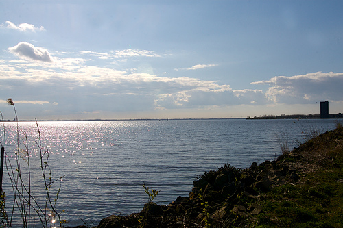 Gooimeer