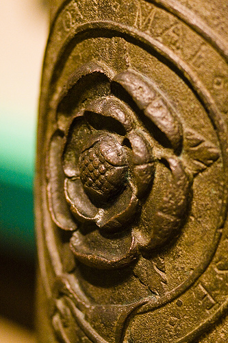 Tudor Rose Tudor Rose