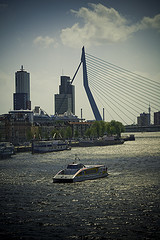 Rotterdam skyline