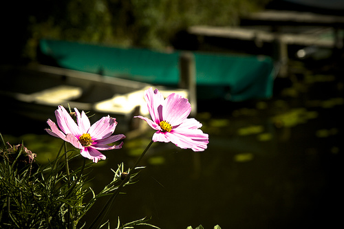 Oude Haven Oude Haven