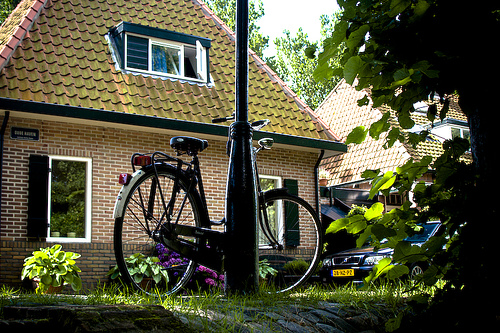 Typisch Hollands Typisch Hollands