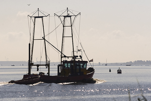 Gooimeer vissers Gooimeer vissers