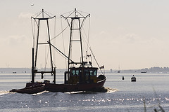 Gooimeer vissers