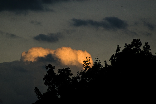 Golden cloud Golden cloud