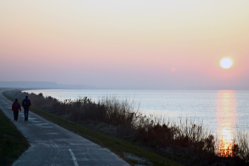 Ochtendwandeling
