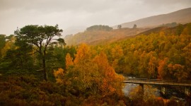 Glen Affric