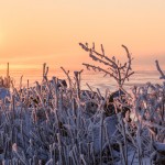 Gooimeer Almere